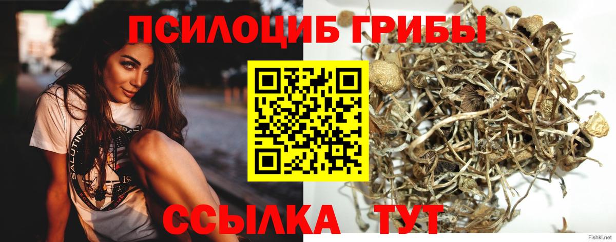 Джанкой  Псилоцибиновые грибы Psilocybine cubensis  Галлюциногенные грибы мухоморы  купить   Вход с VPN 